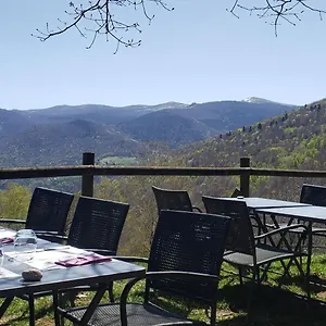 https://auberge-les-myrtilles.midi-pyreneeshotels.com